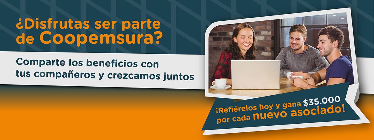 Plan de Referidos 2025