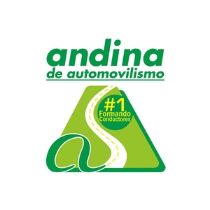 Andina de automovilismo