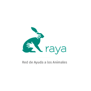 Corporación Raya