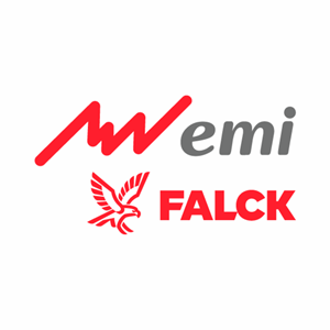 Grupo emi