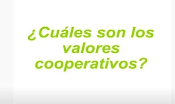 Valores Cooperativos